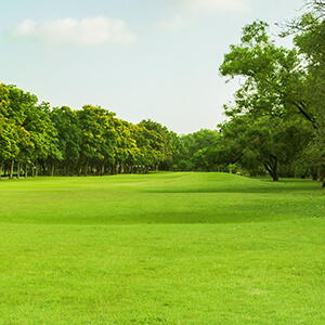 Création<br>d'espace vert